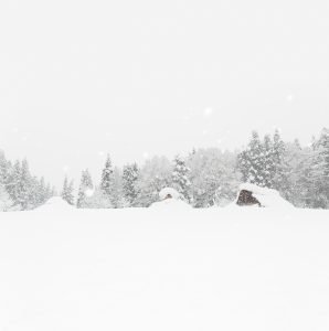 Jomon village in the snow