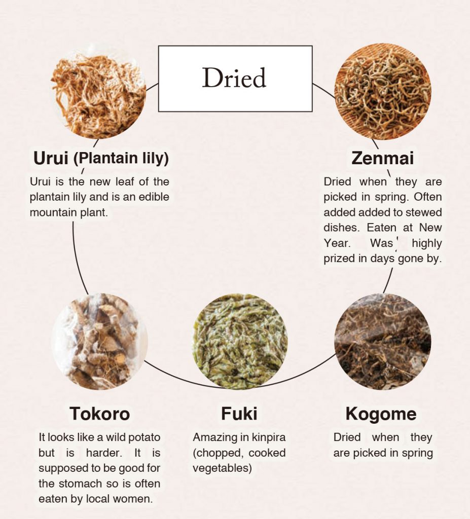 Dried foods
