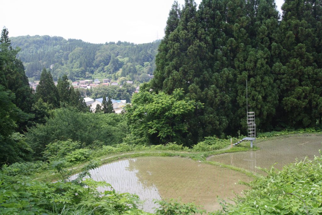 Ushijima Tatsuji, “Observatory”