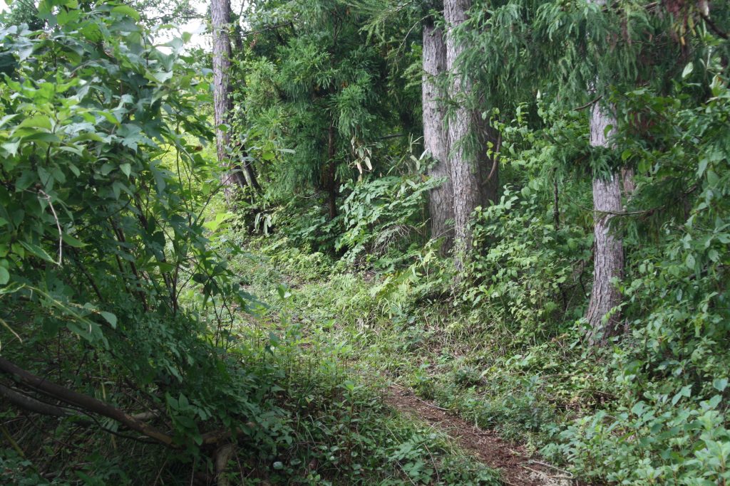 Yuzawa’s Historic Trail